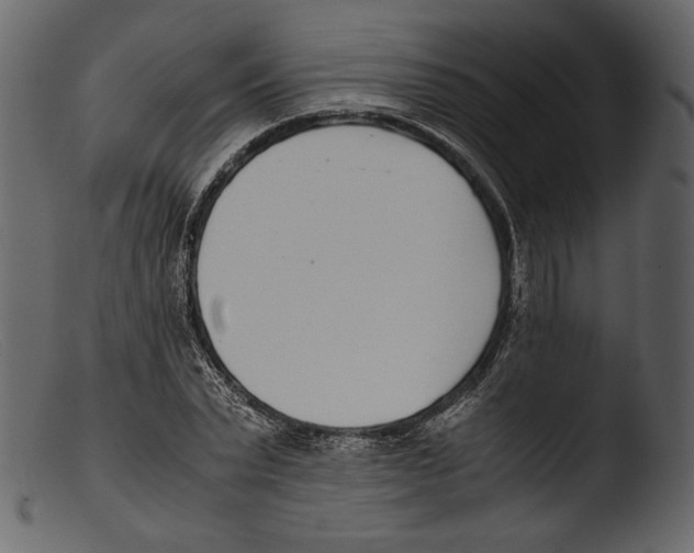 X0000103270783200809261201