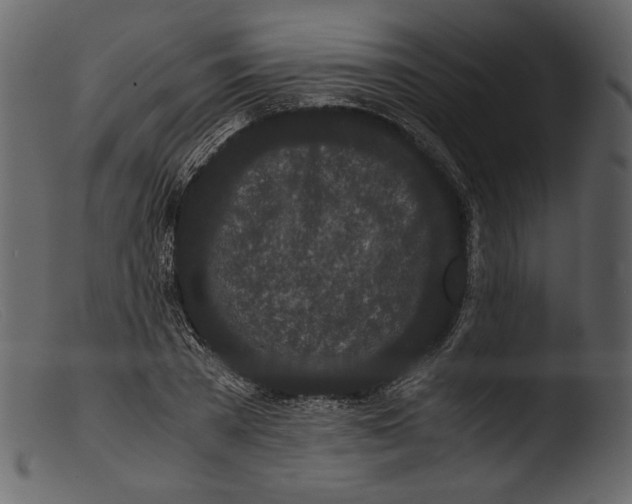X0000103270785200809261201