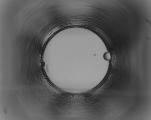 X0000103270786200809261201