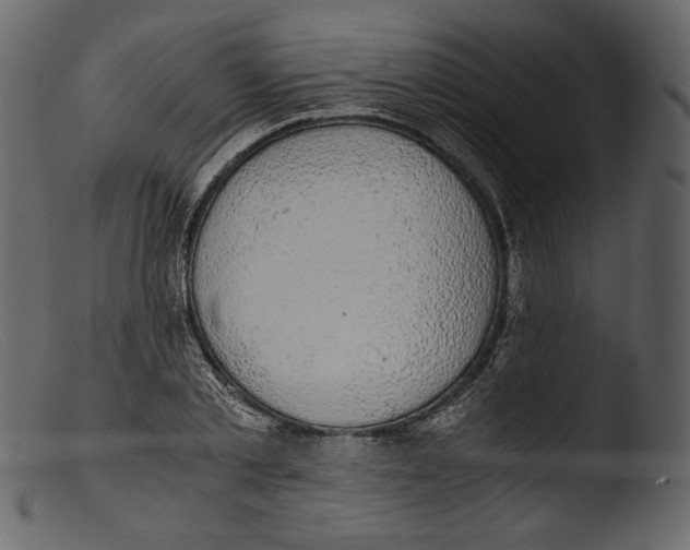 X0000103270789200809261201