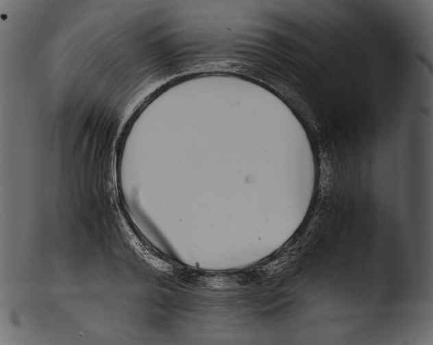 X0000103270792200809261201