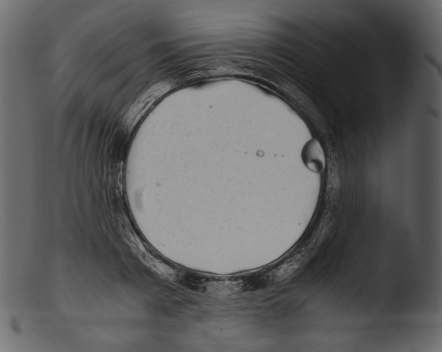 X0000103270793200809261201