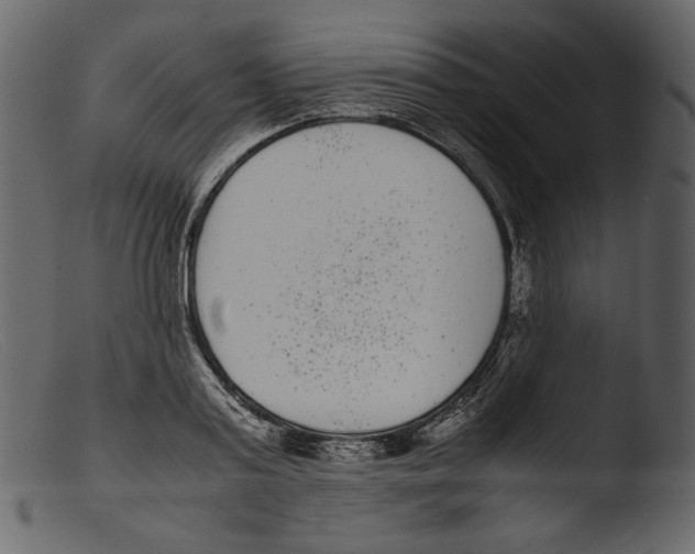 X0000103270795200809261201