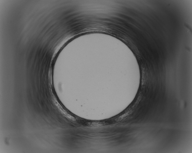 X0000103270796200809261201