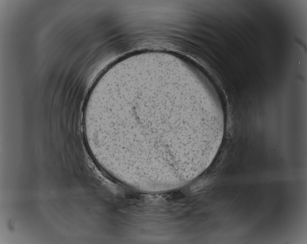 X0000103270799200809261201