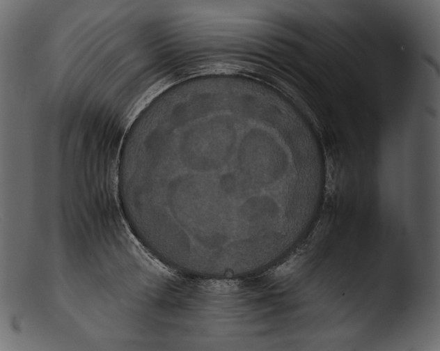 X0000103270802200809261201