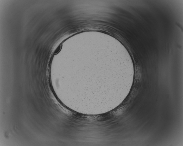 X0000103270803200809261201