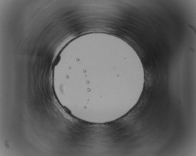 X0000103270804200809261201