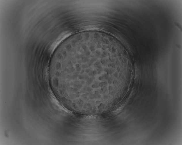X0000103270806200809261201