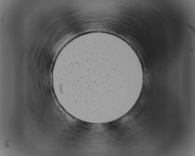 X0000103270807200809261201