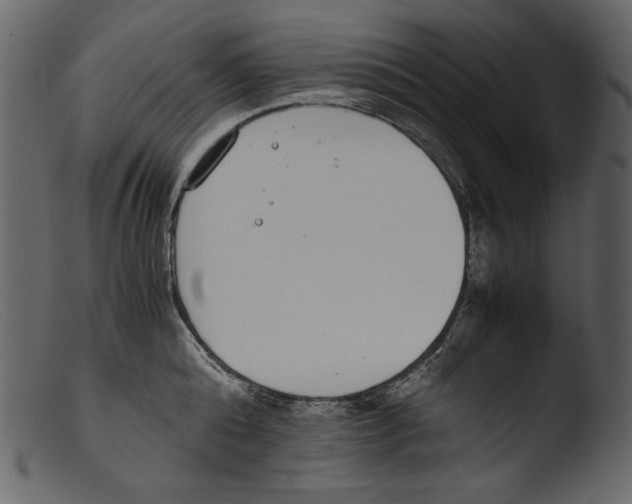 X0000103270808200809261201