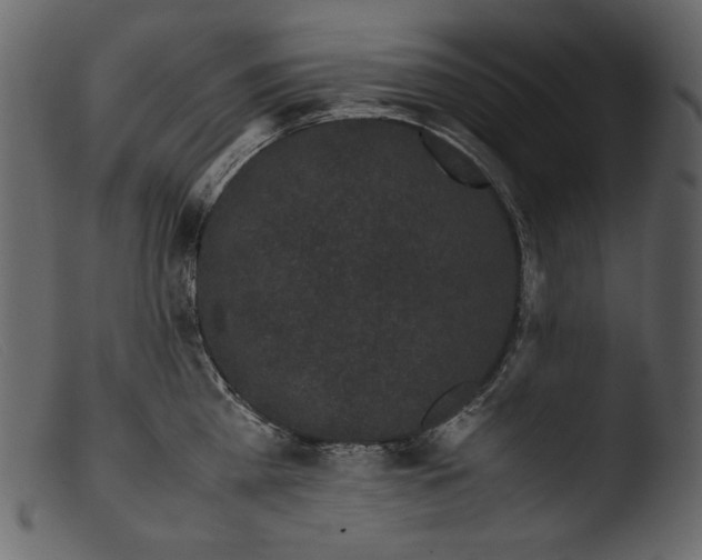 X0000103270809200809261201