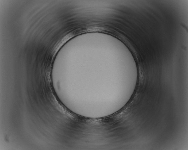 X0000103270810200809261201