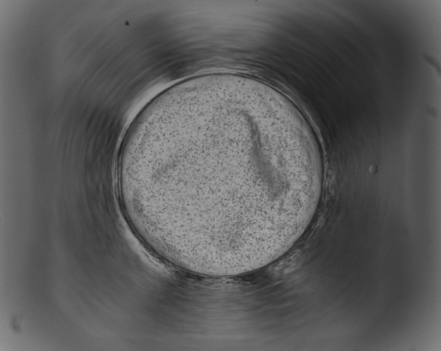 X0000103270811200809261201