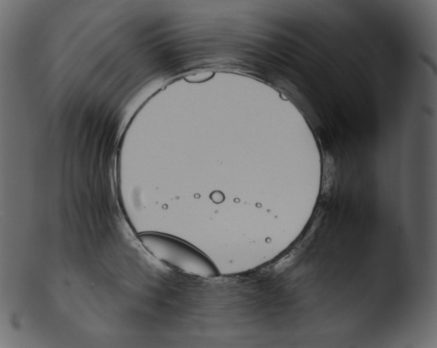 X0000103270812200809261201