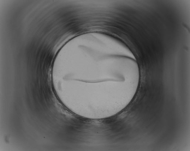 X0000103270814200809261201