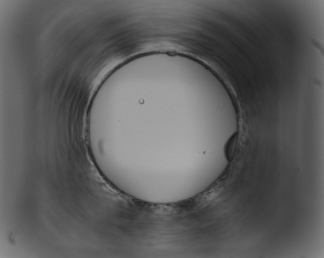 X0000103270815200809261201