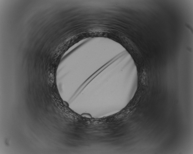 X0000103270821200809261200