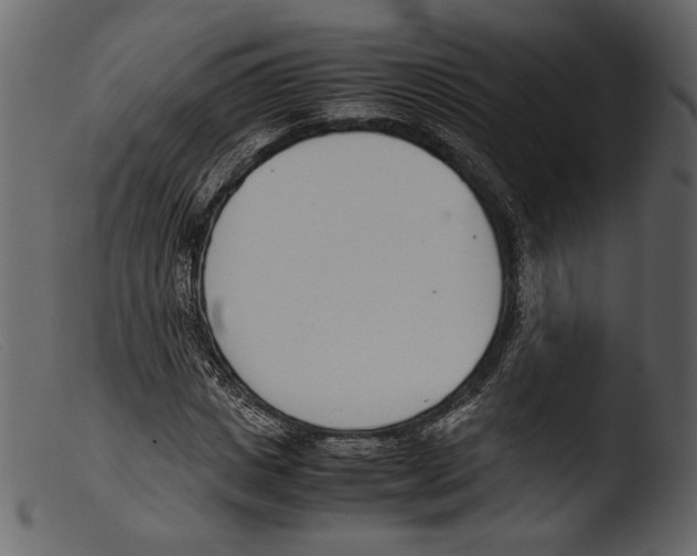 X0000103270825200809261200
