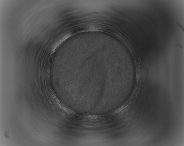 X0000103270827200809261200