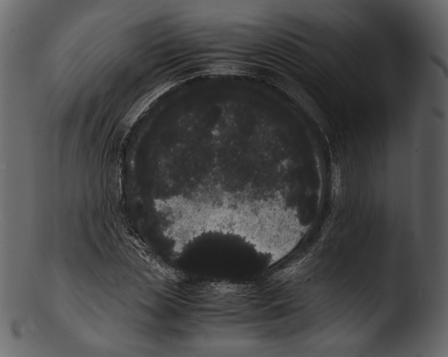X0000103270829200809261200
