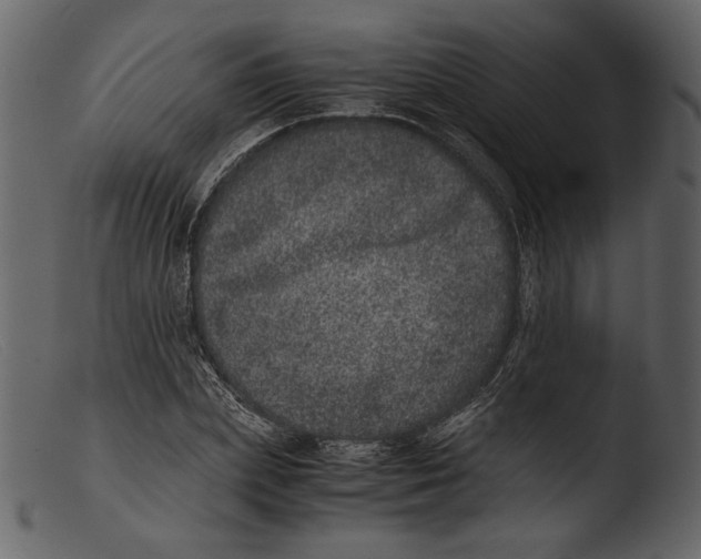 X0000103270831200809261200