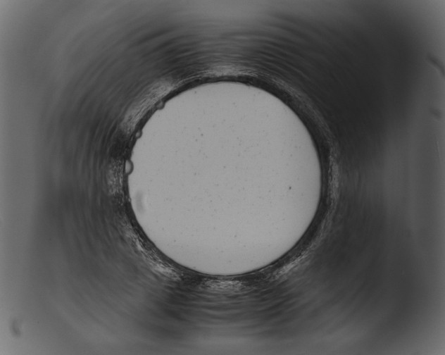 X0000103270833200809261200