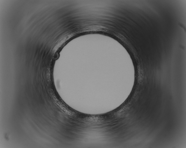 X0000103270834200809261200