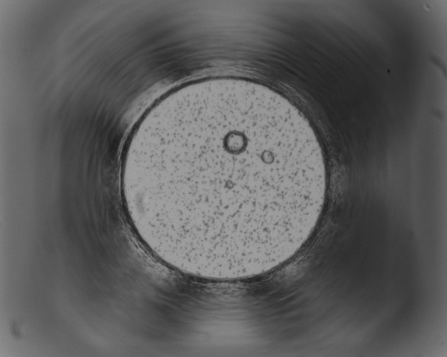 X0000103270836200809261200