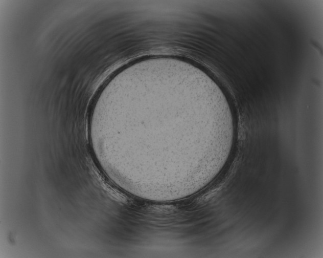 X0000103270837200809261200