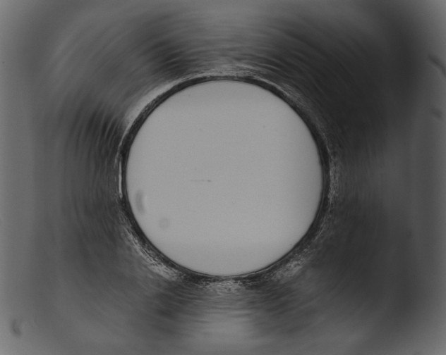 X0000103270838200809261200