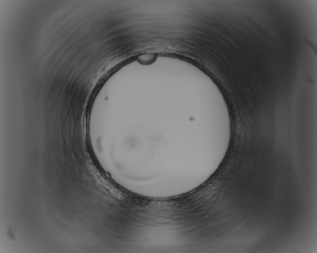 X0000103270840200809261200