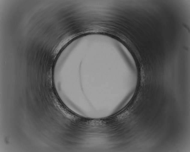 X0000103270842200809261200