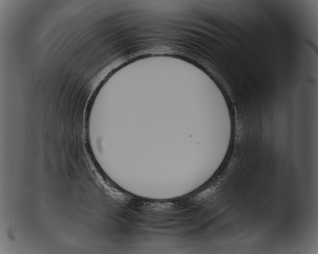 X0000103270845200809261200