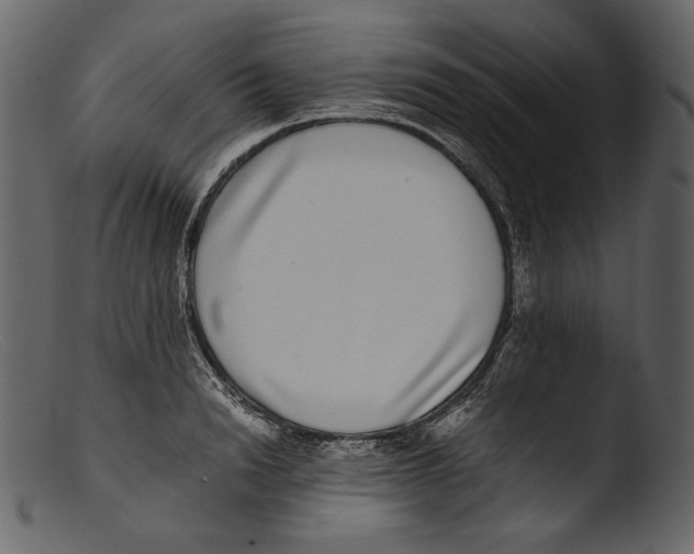 X0000103270846200809261200
