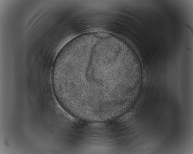 X0000103270847200809261200
