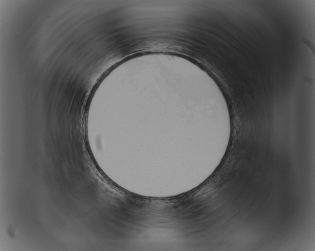 X0000103270848200809261200
