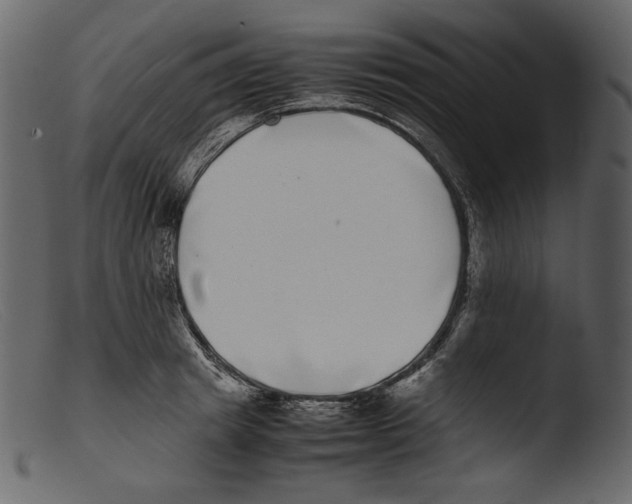 X0000103270849200809261200