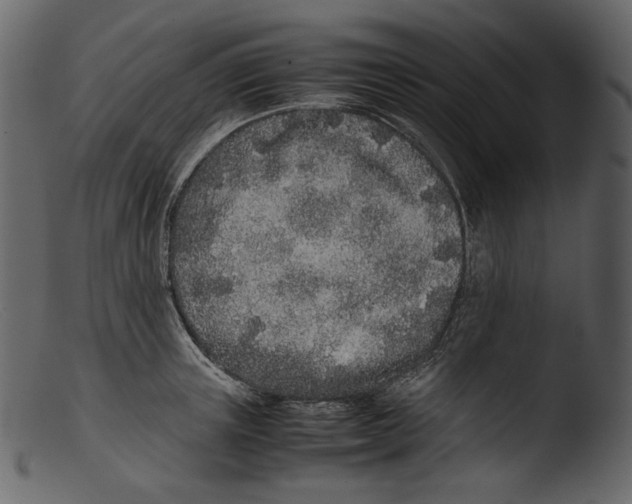X0000103270851200809261200