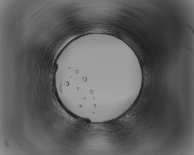 X0000103270852200809261200