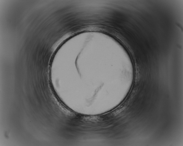X0000103270853200809261200