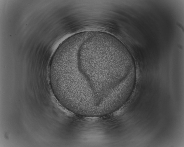 X0000103270854200809261200