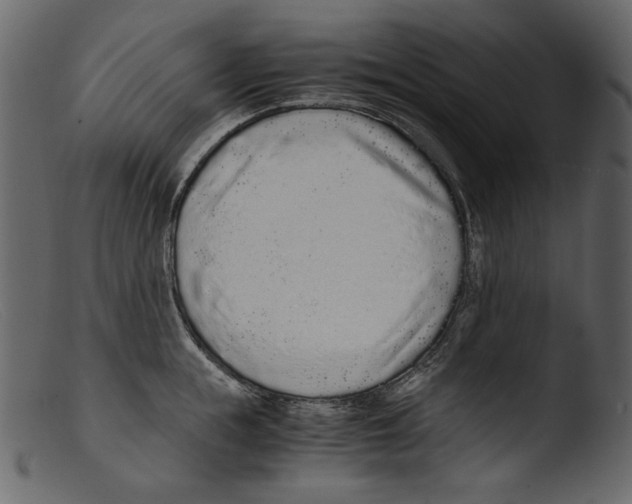 X0000103270855200809261200