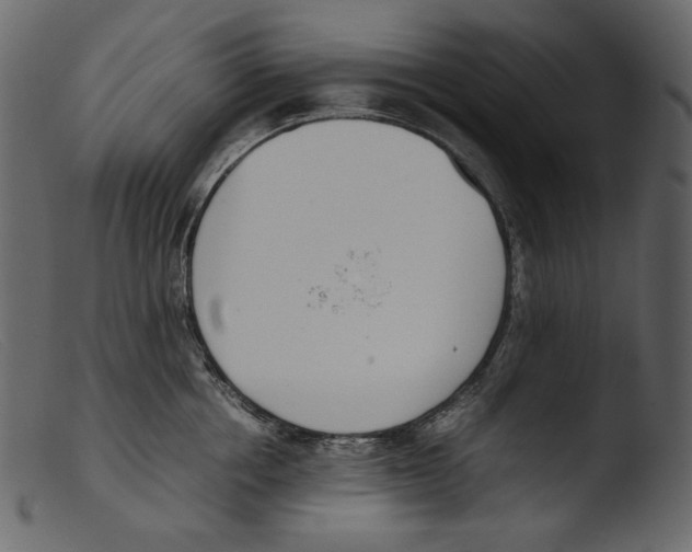 X0000103270858200809261200