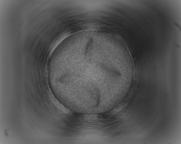 X0000103270859200809261200