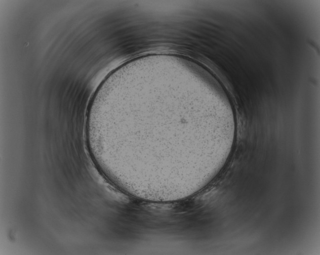X0000103270861200809261200