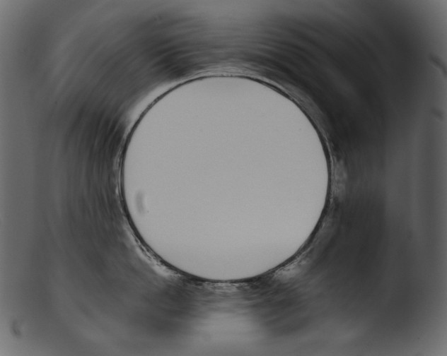 X0000103270862200809261200