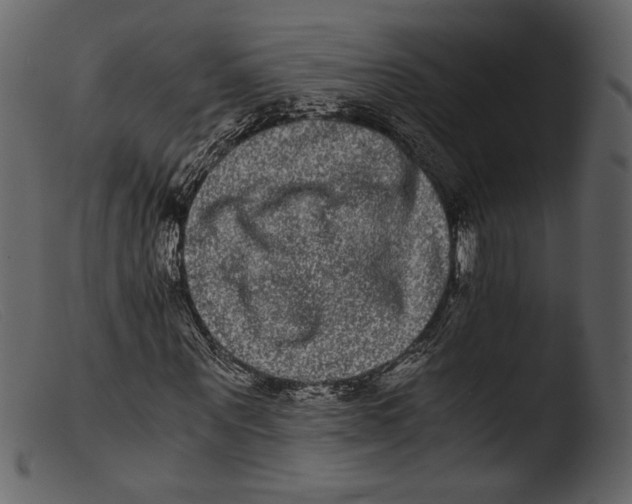 X0000103270867200809261200