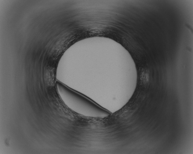 X0000103270868200809261200