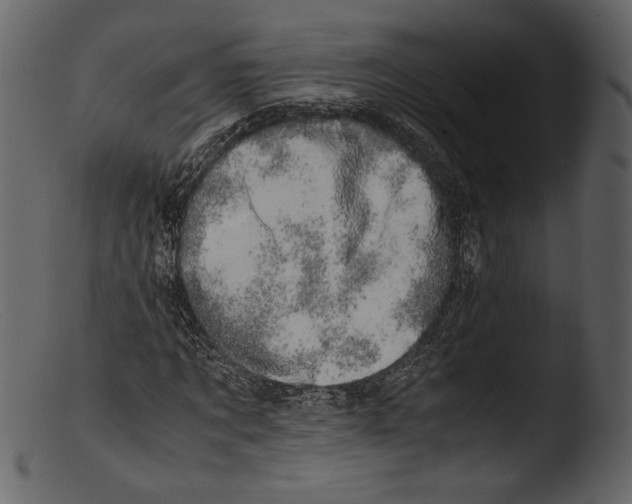 X0000103270869200809261200